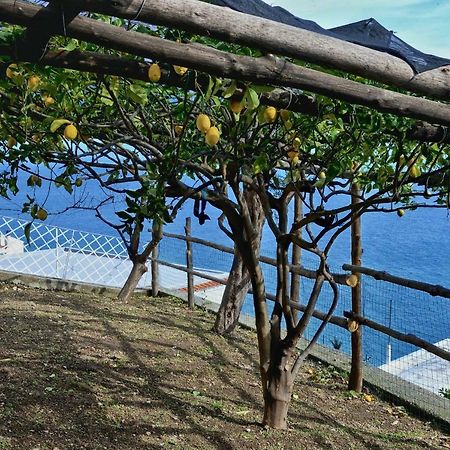 Chez Amelie Villa Amalfi Bagian luar foto